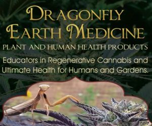 Dragonfly Earth Medicine Logo