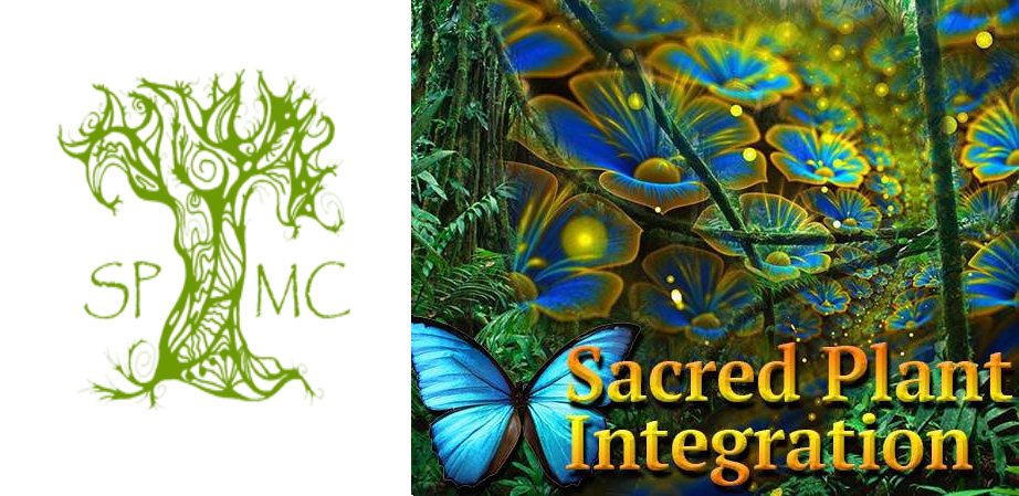 Spirit Plant Medicine Integration Gathering